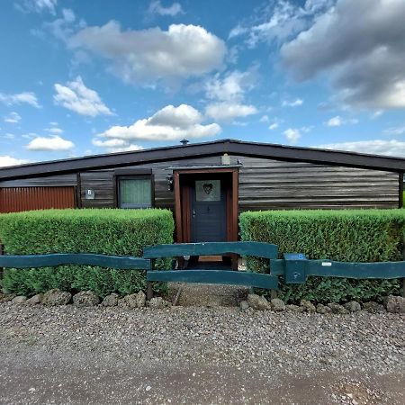 Ferienhaus Eifel Nature Dream Dockweiler Exterior foto